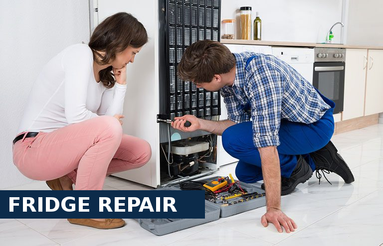 Fridge Repair Norwood Green